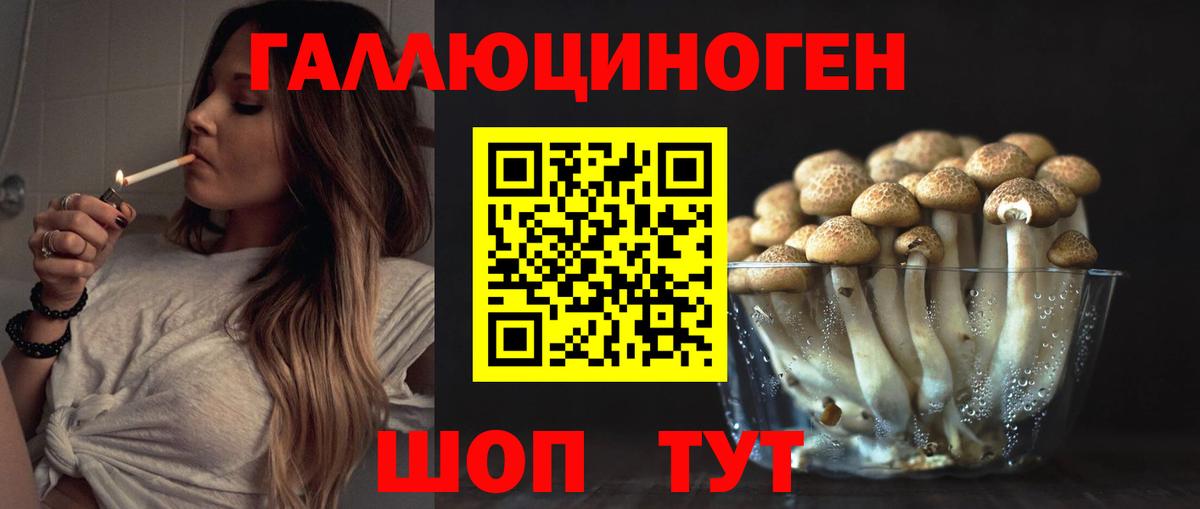 Псилоцибиновые грибы мицелий Ачхой-Мартан