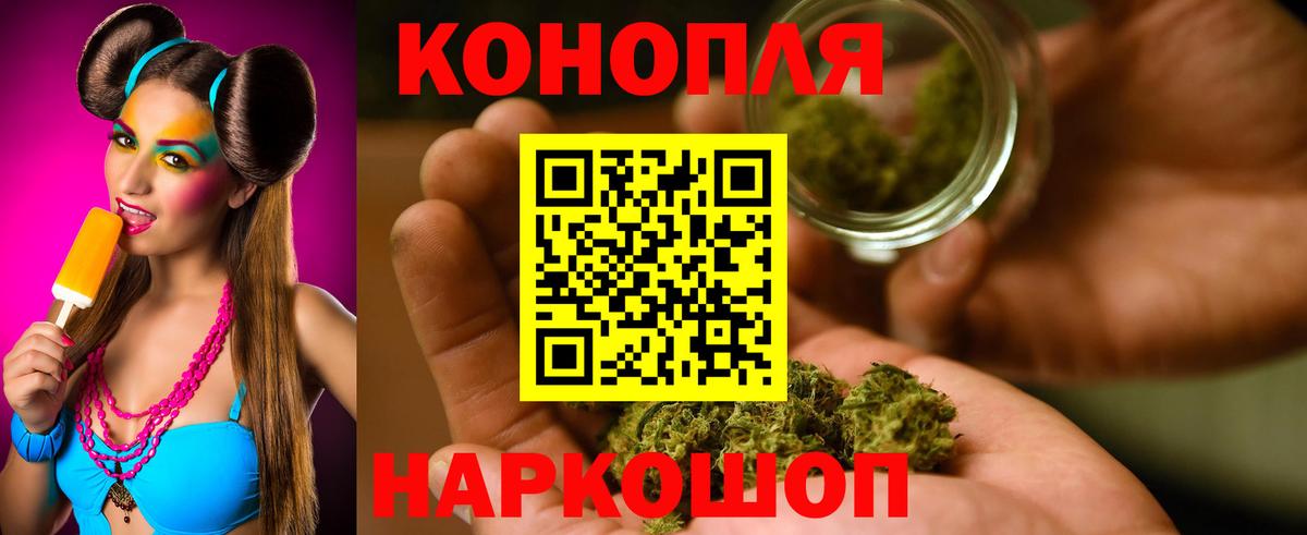 Конопля план Ачхой-Мартан
